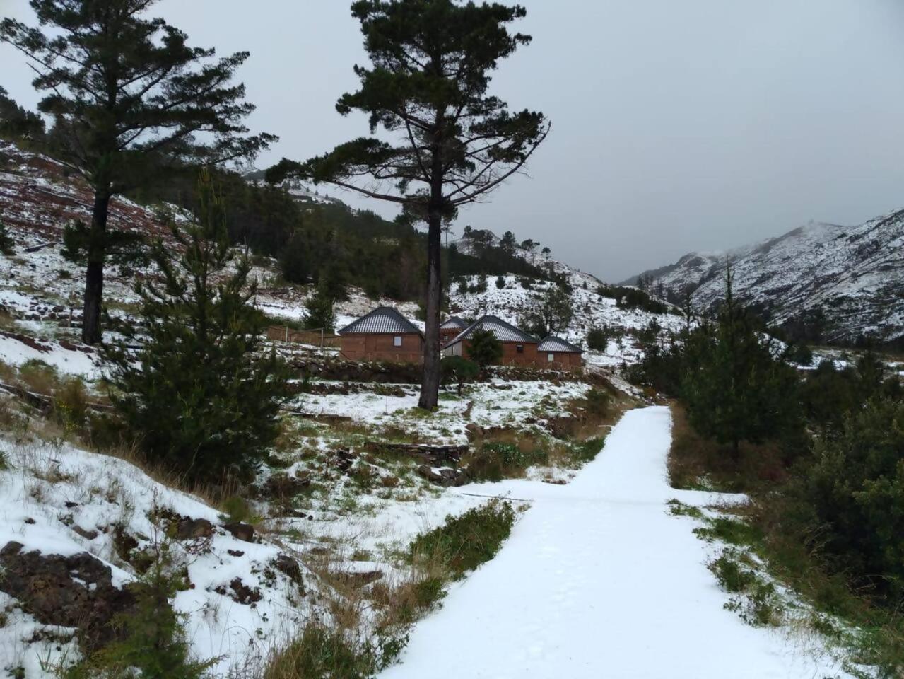 Mountain Eco Shelter 1 Tente de luxe